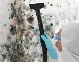 Best Real Estate Mold Inspection  in Ada, OK